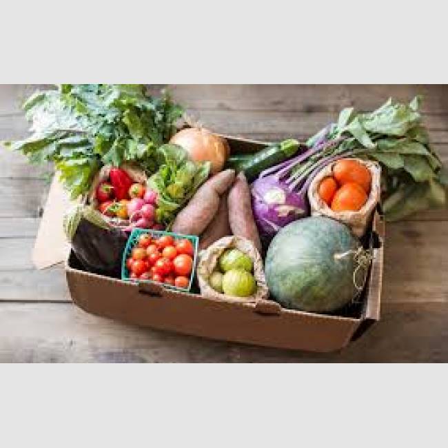 HGEA MEMBERS PRODUCE BOXES